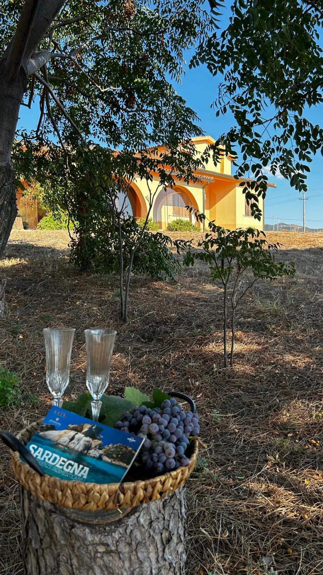 Villa Jolies Viddalba 外观 照片
